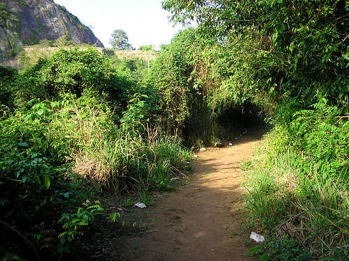 Trail to the summit of Macacos.