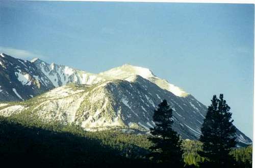 Mount Morgan