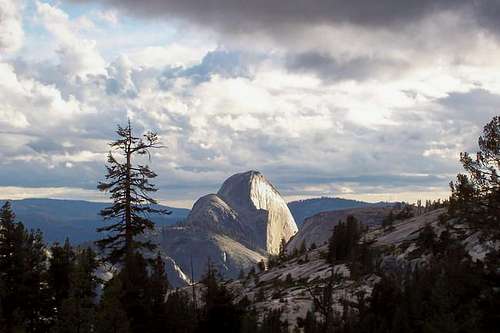 Half Dome from Olmstead...
