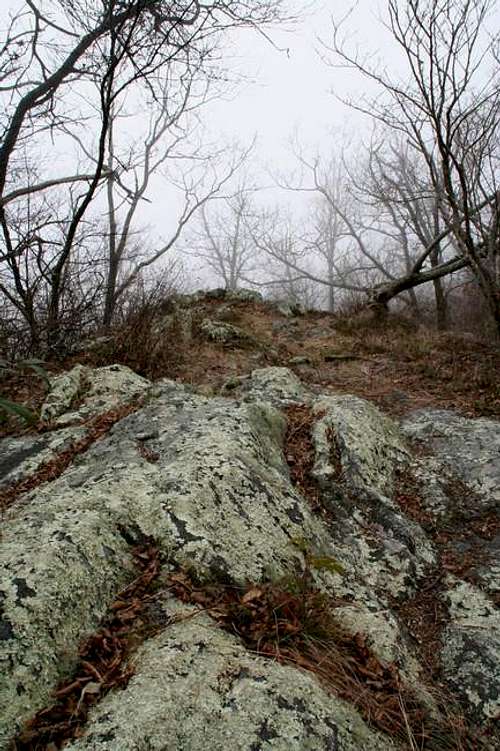 Summit of Coosa Bald. This is...