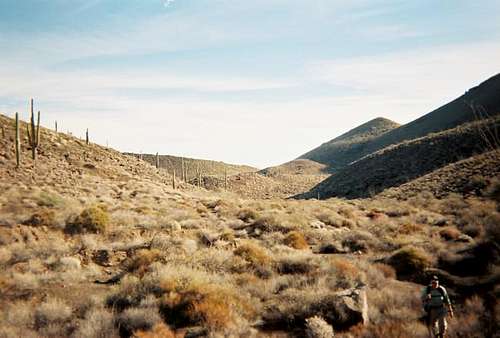 The Pinacate.