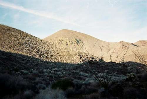 A view of Pinacate Peak.