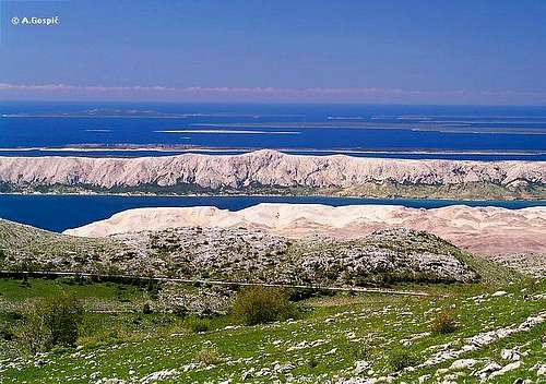 Pag from Velebit
