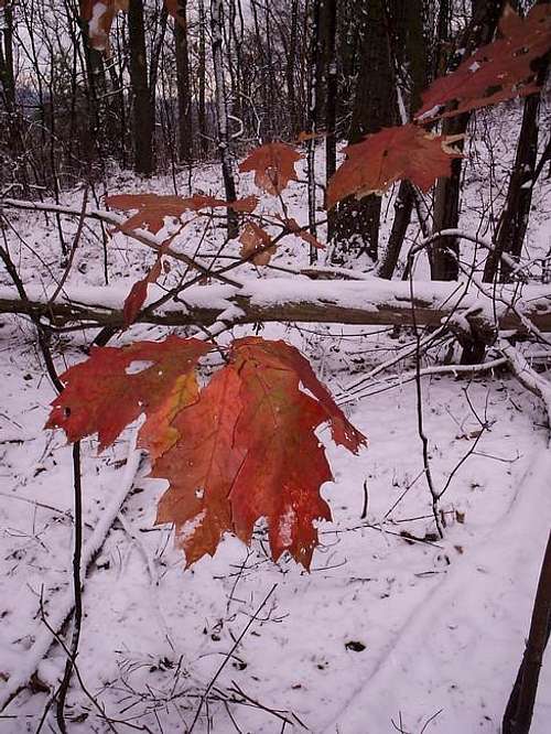 Fall to Winter! What a...