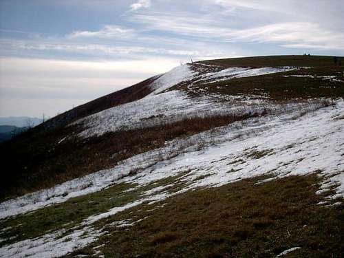 The summit of Max Patch from...