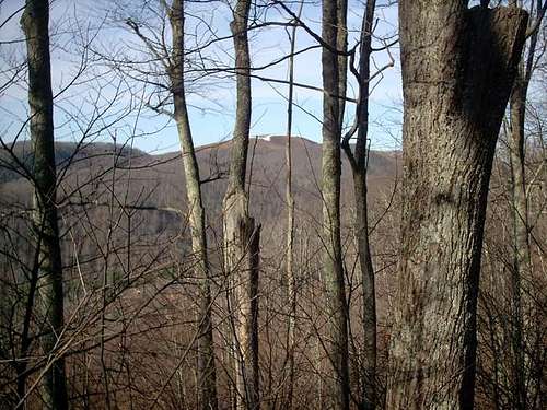 Max Patch through the trees...