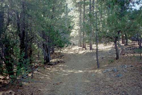 A view of the trail as it...