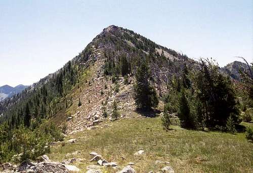 The north ridge of Mt. Ruth...