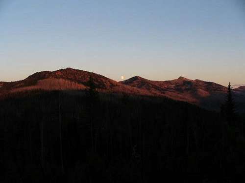 The central Elkhorns from...