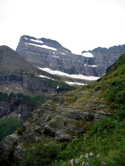 On the Grinnell Glacier trail...