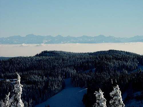 The swiss Alps seen from...