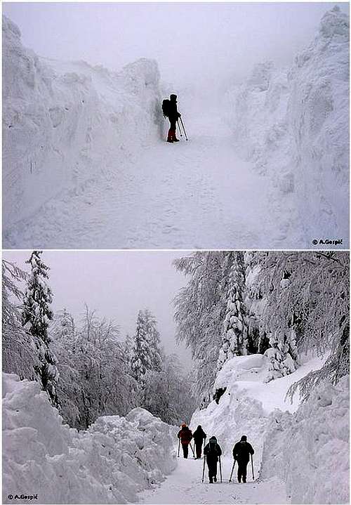  ~ Velebit / North Velebit /...