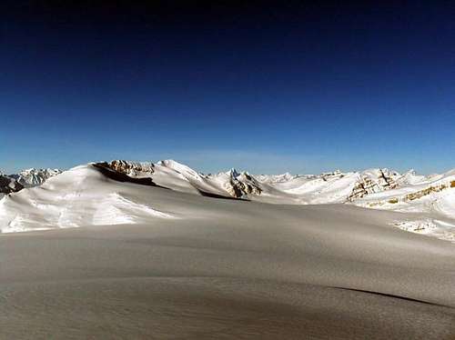 Wapta Icefields from the...