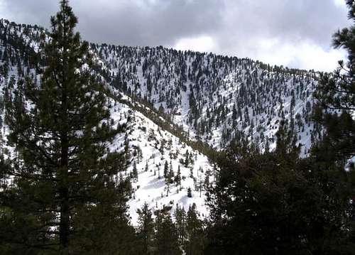 Avalanche Canyon is on the...