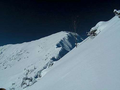 The final slope to the summit...