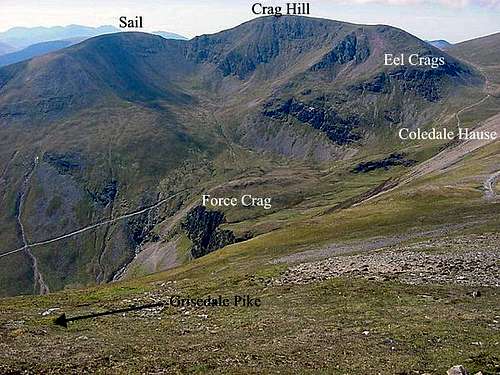 The Coledale Group
