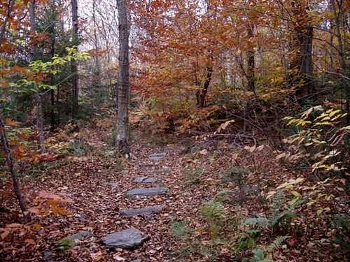 Stepping Stones on the Appalachian Trail