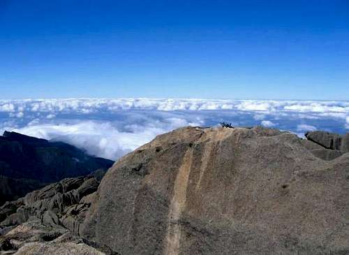 Top of Agulhas Negras ( 2789m...