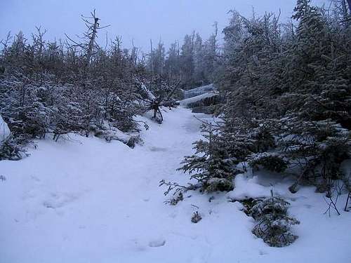 Winter approach of the summit