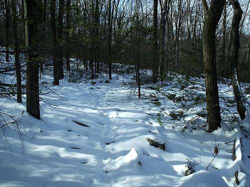 Fresh snow over the trail on...