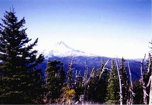 Mt. Hood from the dirt road...