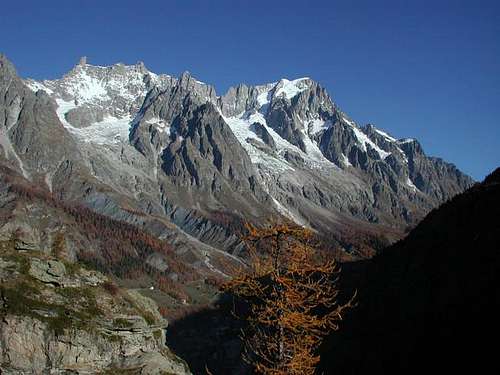 The Monte Bianco Group, Dente...