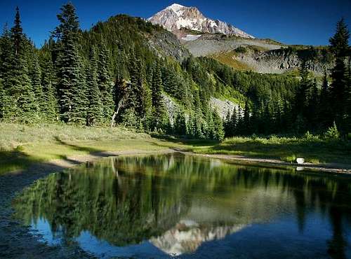 Mount Hood reflection in tarn...