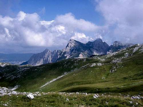 Dinaric Alps, Bioc in...