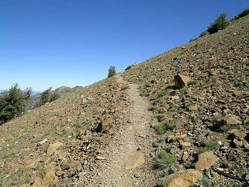 Trail up Mt. Eddy peak (last...