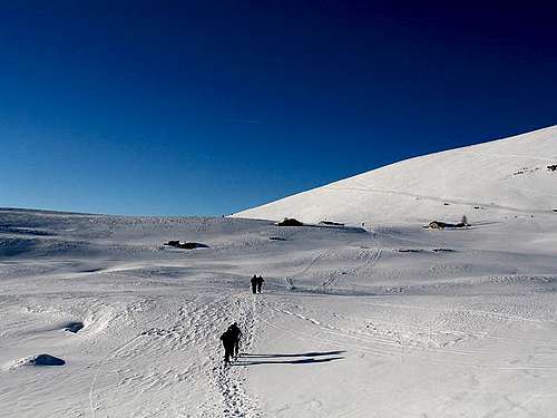 Alpe Alba prairies :Landsnow...