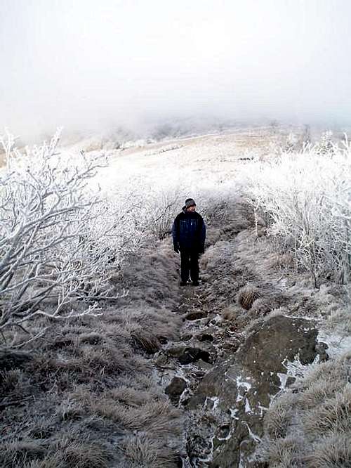 Hiking the AT on Grassy Ridge...