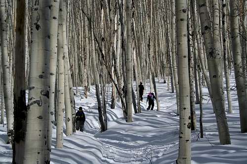 Skinning up towards Huntsman...