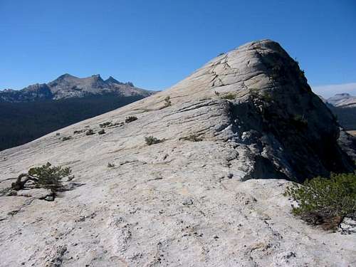 Lembert Dome summit from the...