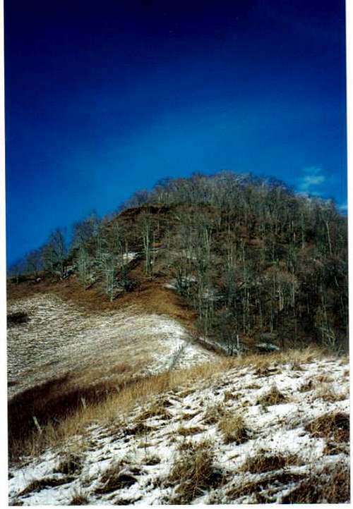 Beartown Mt (Va) south ridge bushwhack (BM MLB 1388)