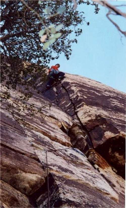 Leading the fun 5.6 crack...