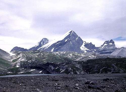 Rinderhorn from the SW