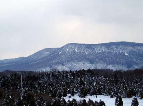 Signal Knob- Winter View