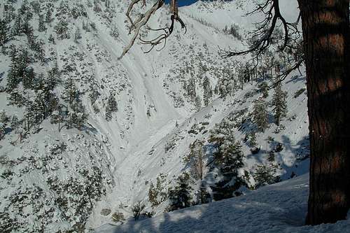 Debris from Baldy Bowl avalanche