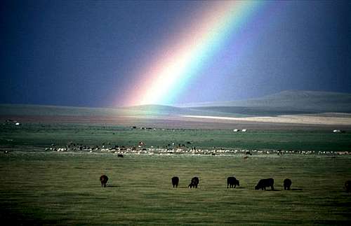 Rainbow over the Mongolian steppe