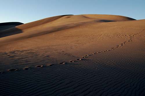 Footprints acroos the sand