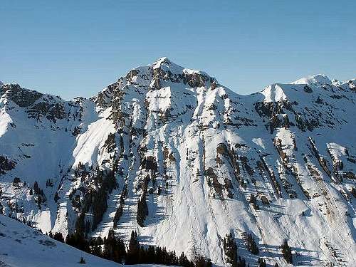 Avalanche gullies of the...