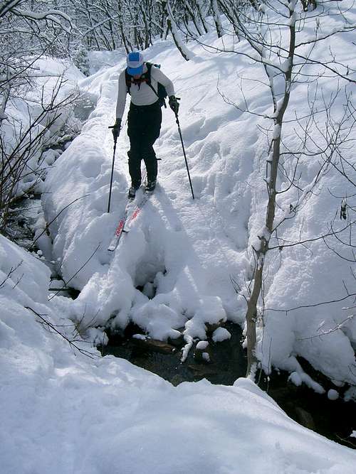 Freeze Creek not frozen