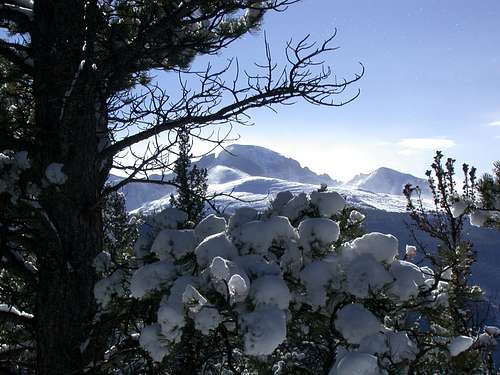 Long's Peak