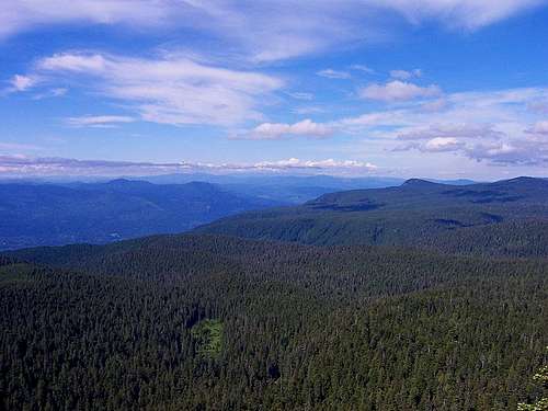 View From Larch Mountain-East