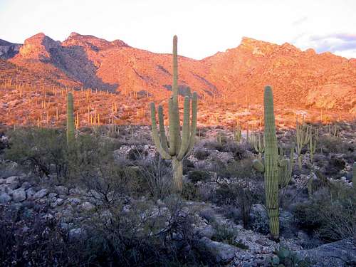 Tucson Mountain Ranges