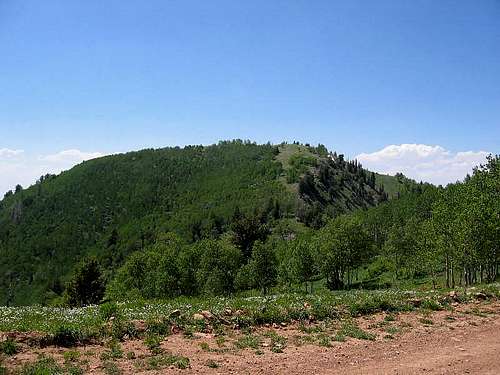 Millard County's Mine Camp Peak