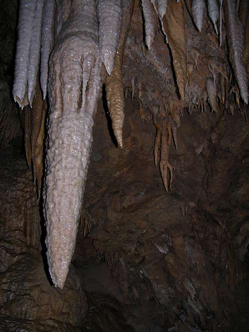 Shasta Caves