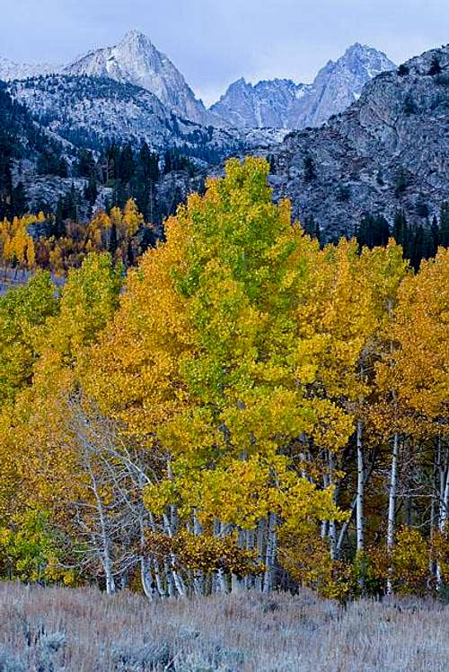 Bishop Creek Fall Colors