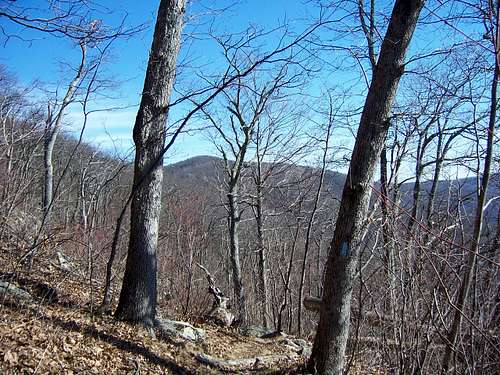 View back from the Trail