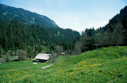 Schwarzwaldalp